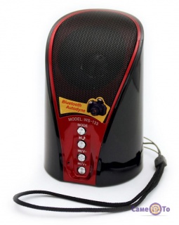   SPS WS 133 luetooth + FM