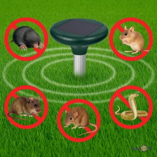 ³    Solar Rodent      㳿
