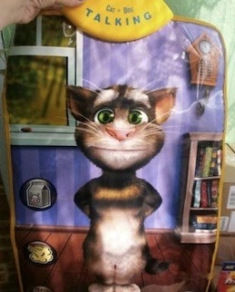      Talking Tom Cat