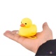      Red Broken Duck      |    