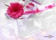    Sosu (1 )