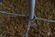      - Astor ASB-1358