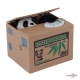    - Mischief Bank, Little Panda