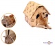   -   Portable Dog House