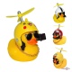      Red Broken Duck       