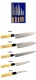    GOLDSUN F105A (5 )