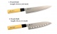    GOLDSUN F105A (5 )