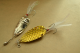   Spoon lure ()