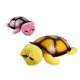      (Nighttime Turtle)
