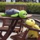      (Nighttime Turtle)