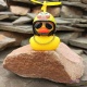      Red Broken Duck      |    