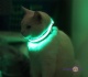 Акумуляторний нашийник що світиться для собак і кішок з USB зарядкою
