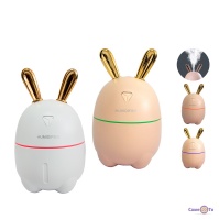     Humidifier Y105 