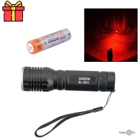 ˳      X-Balog BL-B24 +  GreeLite Li-ion 18650 3.7V 5800 mAh