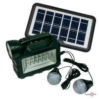    GDTimes GD-101 80W    