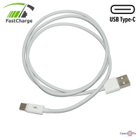    Fast Charge 100  