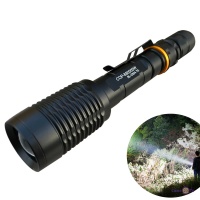    BL-2804-T6,  