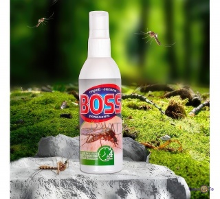  -    "BOSS" 100 .   , , , 