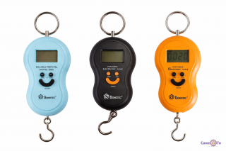 ����� ���� - ����������� ������ Domotec MS-601