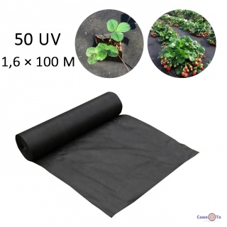     50 /2 (50 UV) 1,6x100 ,   