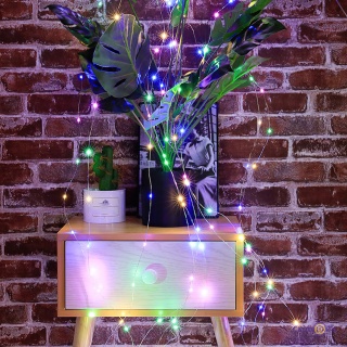 ʳ������ ���� ������� г������������ 200Led 2�, ��� ������� ����� ����