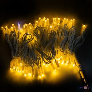    100LED 3.3V Line WW-1 10   