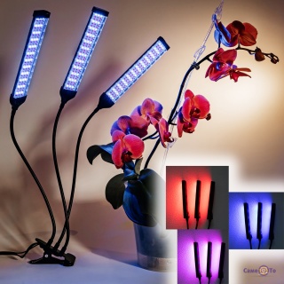     -  66LED Grow Light 