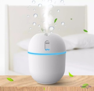     Humidifier egg