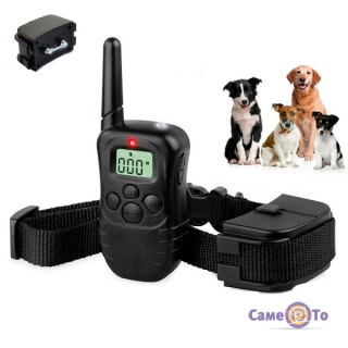     TrainingCollar 998D-   
