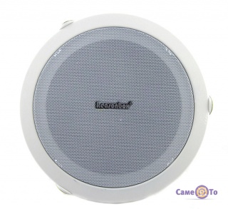   Reasonbox Celling Speaker RX-C601 ( )