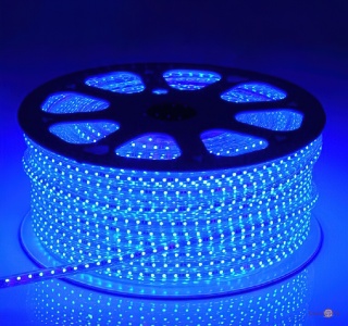   SMD 5050- Strip   100 ,   