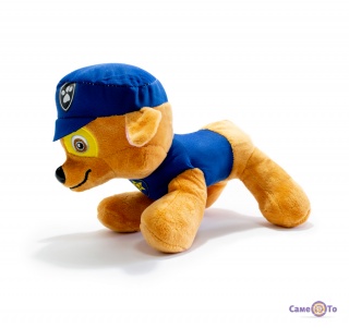 '  Paw Patrol    .(18-20 )
