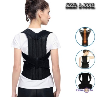    "Support Belt For Back Pain" S-XXXL    