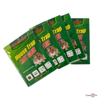      5 ., Bond Trap
