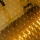     Xmas Net WW 180 LED    1.91.6 