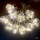     Xmas 80 LED 4.3  -   (10 )