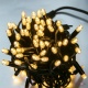    10  Xmas LED 100L 3.3B     