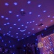     Night turtle -  , 3527 