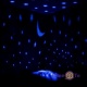     Night turtle -  , 3527 