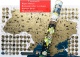     My Map Ukraine     