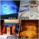    Rose Table Lamp 16  -   