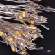    5  Fireworks Lamp  40.35 500LED