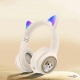     MDR CAT BT CUTER AKZ 01