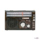   "Golon RX-382"    USB/TF 