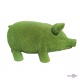        "Green Pig" 351518