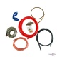      CYO Amplifier Wiring Kit 8GA   