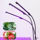     -  66LED Grow Light 