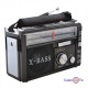   Golon RX-381    usb   