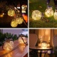 ������������ ������� �������� ��������� �� �������� ������ ������������ ��� Solar Glass Decoration Light