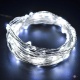     Xmas Cooper 30 Led 3M USB    ( )